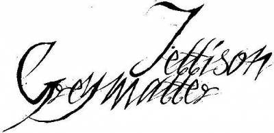 logo Jettison Greymatter